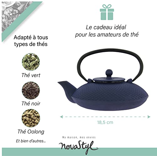 NOVASTYL-Theiere-en-fonte-Fuji-bleue-08L-Inspire-de-lart-japonais-7321629-0-2